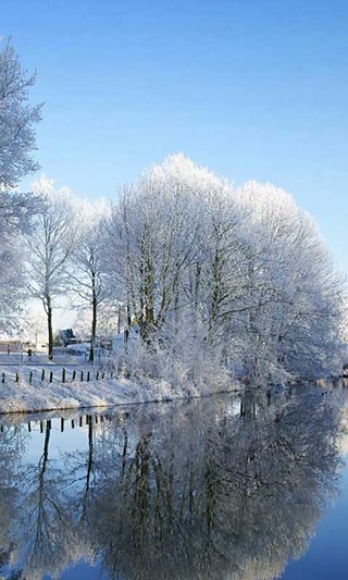 香山雪景高清动态壁纸截图3