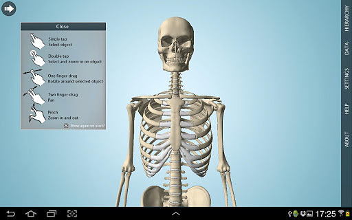 Anatomy 3D - Anatronica截图2