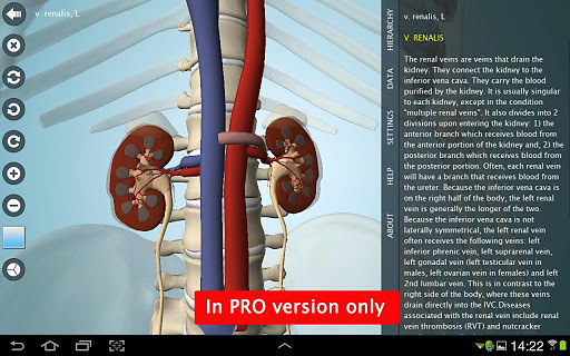 Anatomy 3D - Anatronica截图4