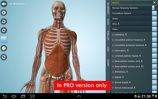 Anatomy 3D - Anatronica截图5