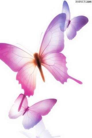 美丽的蝴蝶壁纸截图1