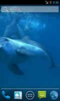 Amazing Dolphins HD截图1