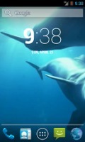 Amazing Dolphins HD截图2