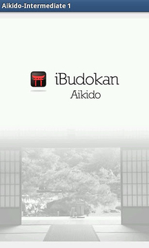 Aikido Intermediate 1截图