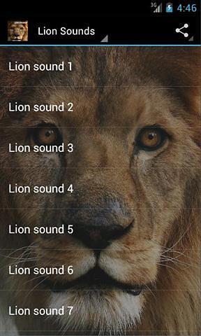 狮子的声音 Lion Sounds截图1