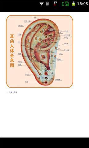 男女高清按摩穴位图解截图5