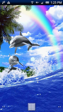 Dolphin Chimes Free截图