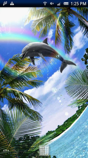 Dolphin Chimes Free截图3
