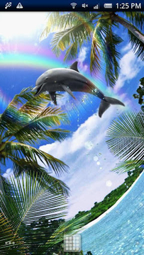 Dolphin Chimes Free截图