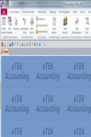 eTEK Accounting截图1