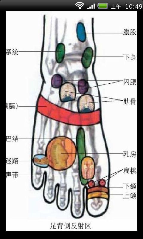 家庭足部按摩视频教程截图3