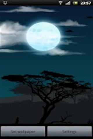 My Africa Wallpaper截图4