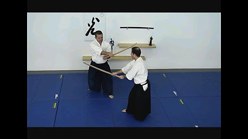 Aikido Weapons Free截图1