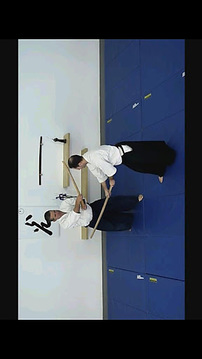 Aikido Weapons Free截图