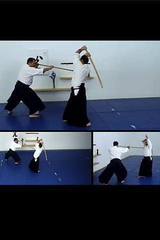 Aikido Weapons Free截图3