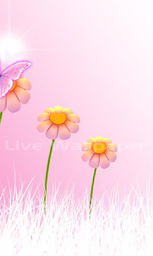 HD Live Wallpaper Flowers截图1