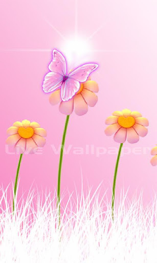 HD Live Wallpaper Flowers截图2