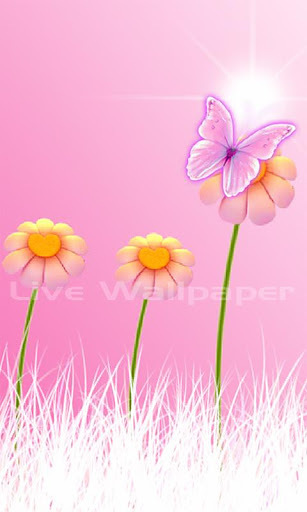 HD Live Wallpaper Flowers截图4