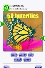 Match: Butterflies截图1