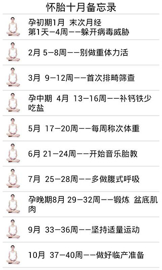 怀胎十月备忘录截图4