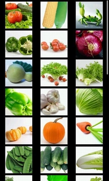 Vegetables Puzzle for Kids截图
