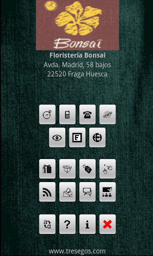 盆景花店 Bonsai florist截图1