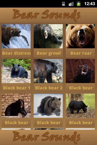 Bear Sounds截图2