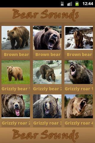 Bear Sounds截图3