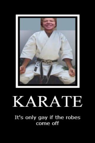 Karate Kevin截图1