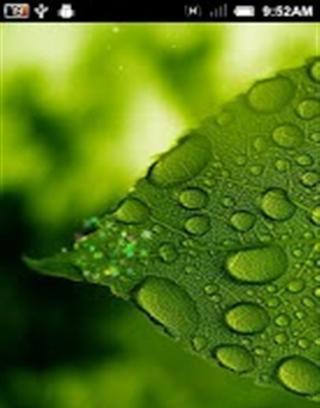 Cool drops of water live wallpaper截图1