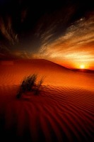 Fantasy Desert Live Wallpaper 2截图1