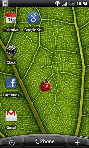 Ladybug - Live Wallpaper截图1