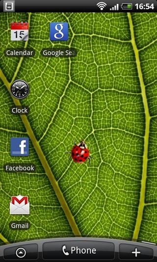 Ladybug - Live Wallpaper截图3