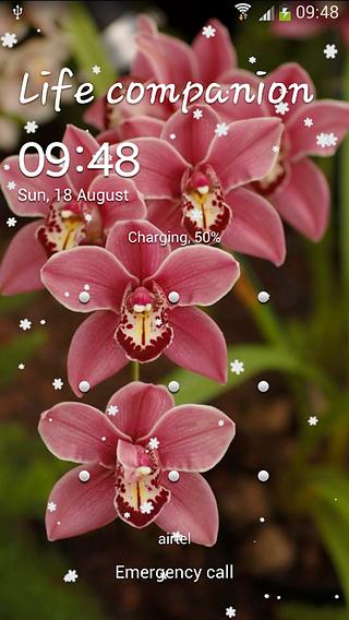 花壁纸 Flowers Live Wallpaper截图4