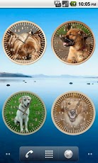 Dog 3 Labrador Analog Clock截图3