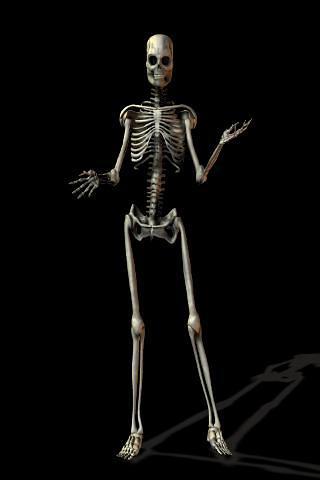 skeleton james截图2