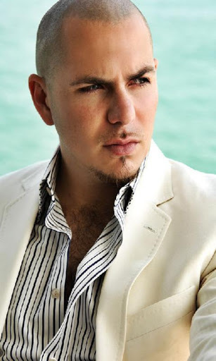 Pitbull wallpaper截图1