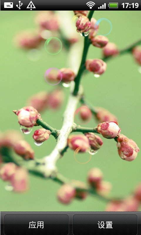 枝上嫩芽动态壁纸截图3