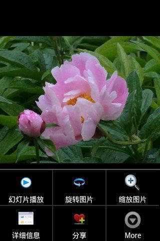 APPS花卉截图3