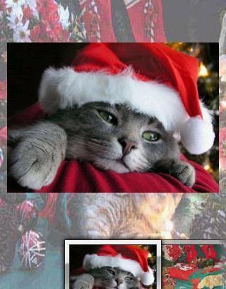 Christmas Cats Puzzle截图4