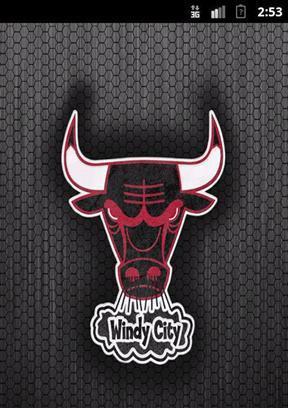 Chicago Bulls LWP截图3