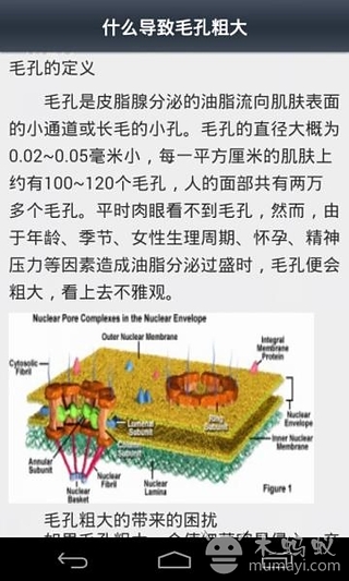 收缩毛孔秘籍截图3