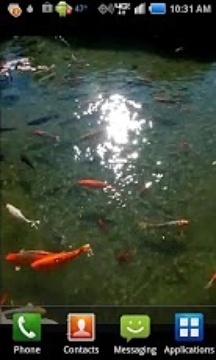 Pond of Fish截图