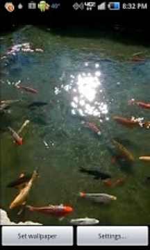 Pond of Fish截图