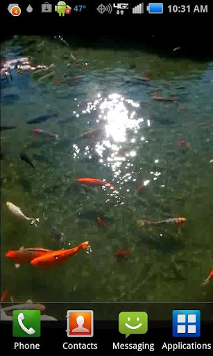 Pond of Fish截图4