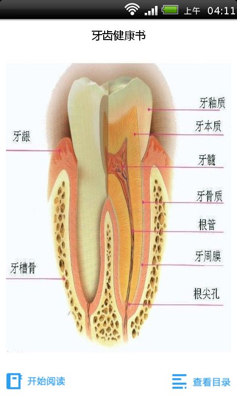 牙齿健康书截图1