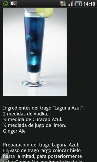 Tragos y Bebidas截图1