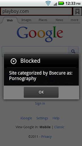 Bsecure Mobile Browser截图2