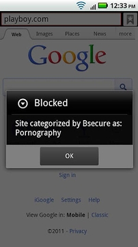 Bsecure Mobile Browser截图