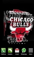 3D Chicago Bulls Wallpaper 1.00截图1